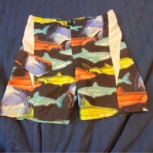Pick any 5 for $15 Boys Shark Swim Trunks Size M (8)